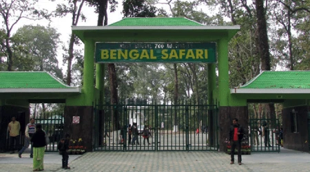 Bengal Safari