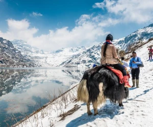 darjeeling-toy-train