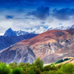 darjeeling-toy-train